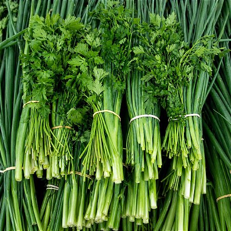 Cheiro Verde: 50 Sementes