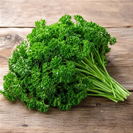 Salsa Crespa ORGÂNICO: 50 Sementes