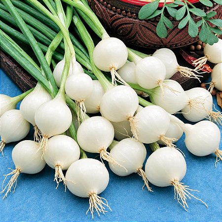 Cebolinha Para Conserva: 20 Sementes
