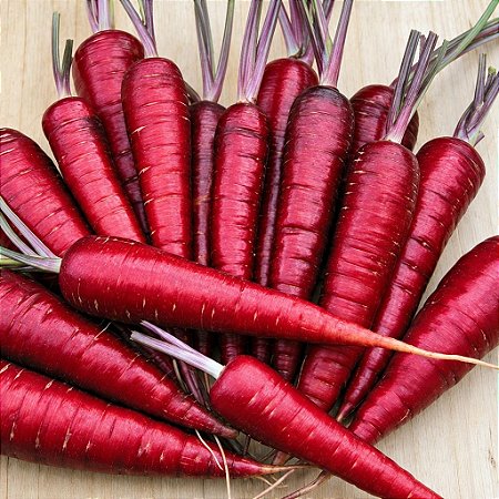 Cenoura Red Atomic (vermelha): 20 Sementes