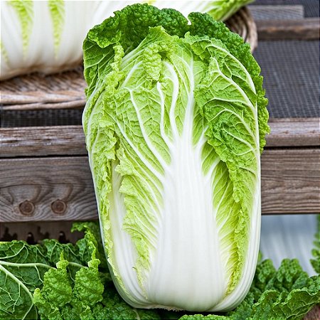 Couve Chinesa: 50 Sementes