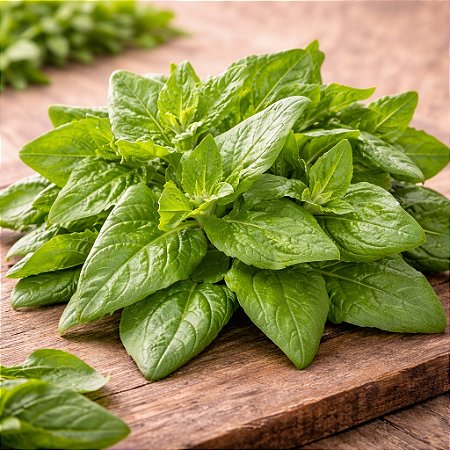 Espinafre Nova Zelândia: 10 Sementes