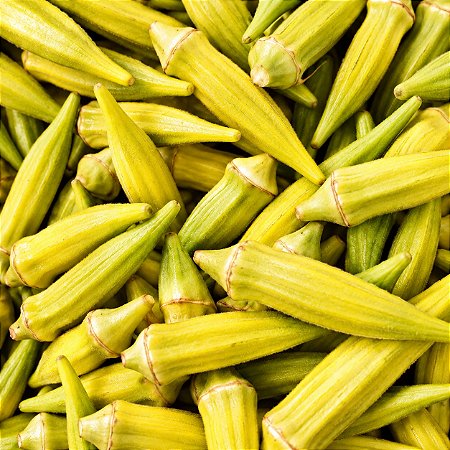 Quiabo Amarelo: 10 Sementes