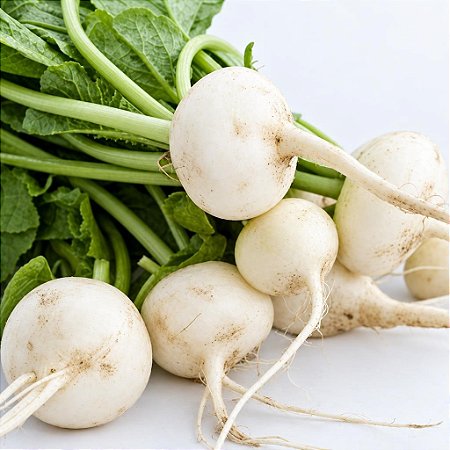 Rabanete Branco: 20 Sementes
