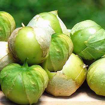 Tomatillo Verde ORGÂNICO: 20 Sementes