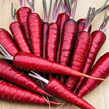 Cenoura Vermelha Atomic Red ORGÂNICO: 20 Sementes