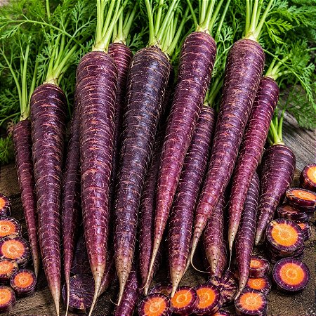 Cenoura Roxa Cosmic Purple: 50 Sementes