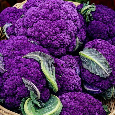 Couve Flor Roxa: 50 Sementes