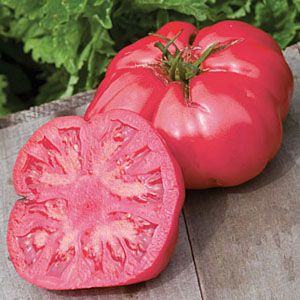 Tomate Caspian Pink: 20 Sementes