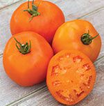 Tomate Laranja: 20 Sementes