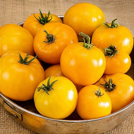 Tomate Lemon Boy: 15 Sementes