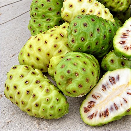 Noni - Morinda citrifolia - 3 Sementes