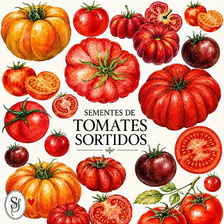 Tomates Sortidos - 500 Sementes