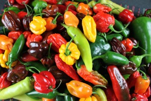 Pimentas Sortidas: 500 Sementes