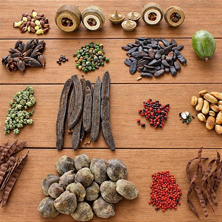 50 Kits Sementes de Árvores Nativas Variadas Para Brinde - 5 Sementes Cada