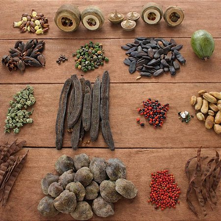 50 Kits Sementes de Árvores Nativas Variadas Para Brinde - 5 Sementes Cada