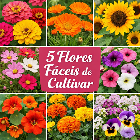 Kit 5 Espécies Sortidas de Flores Fáceis de Plantar