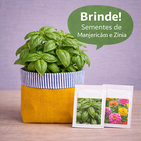 Cachepô de Tecido Estampado Dupla Face Listrado + Brinde