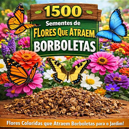 Flores Sortidas Que Atraem Borboletas: 1500+ Sementes