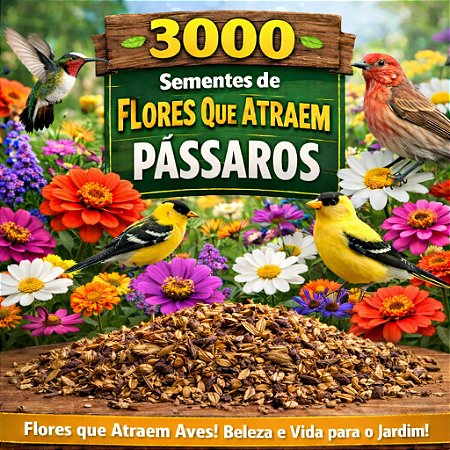 Flores Sortidas Que Atraem Beija-Flor (Pássaros): 3000+ Sementes