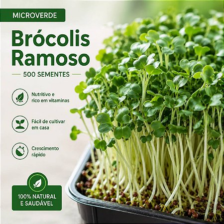 Microverdes Brócolis Ramoso: 500 Sementes