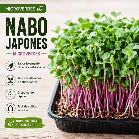 Microverdes Nabo Japones: 500 Sementes