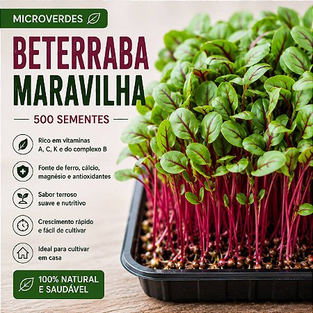 Microverdes Beterraba Maravilha: 500 Sementes
