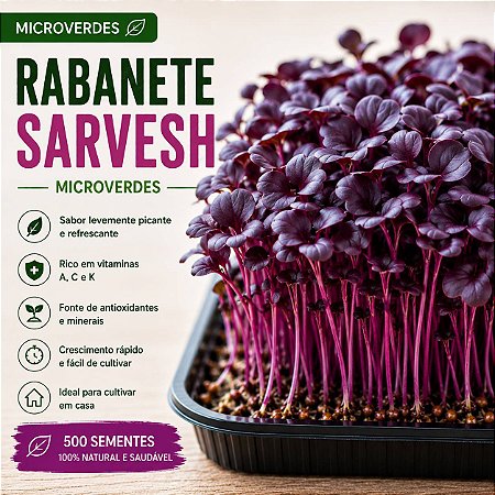 Microverdes Rabanete Sarvesh: 500 Sementes