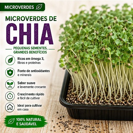 Microverdes Chia: 500 Sementes