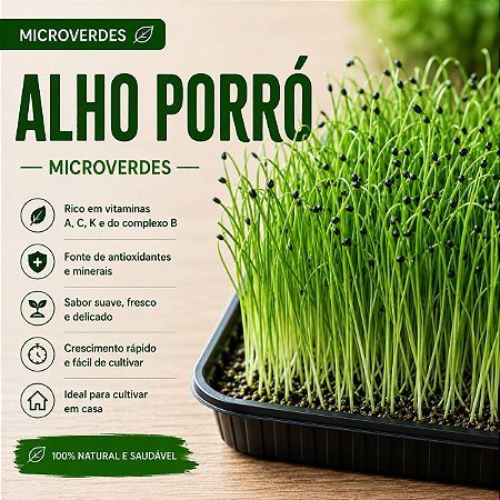 Microverdes Alho Poró: 500 Sementes