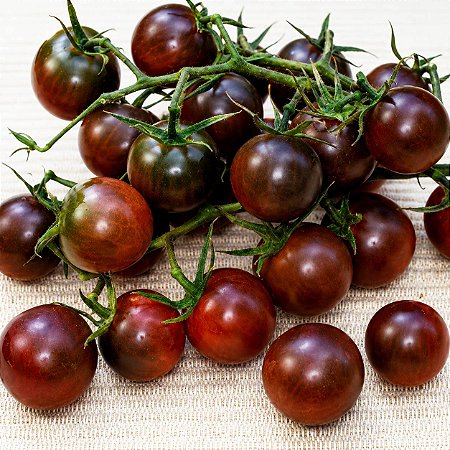 Tomate Cereja Preto (Raridade): 50 Sementes