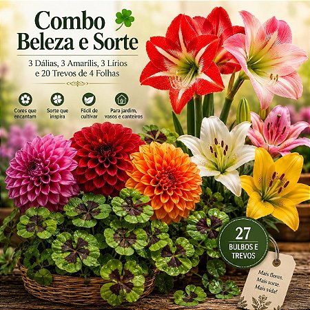 Kit Beleza e Sorte – 3 Amarilis, 3 Lirios, 3 Dálias e 20 Trevos de 4 Folhas