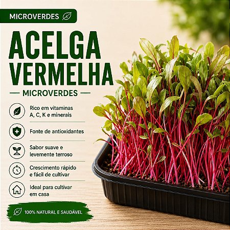 Microverdes Acelga Vermelha: 250 Sementes