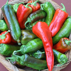 Pimenta Doce Italiana: 20 Sementes