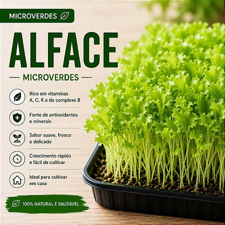 Microverdes Alface: 500 Sementes