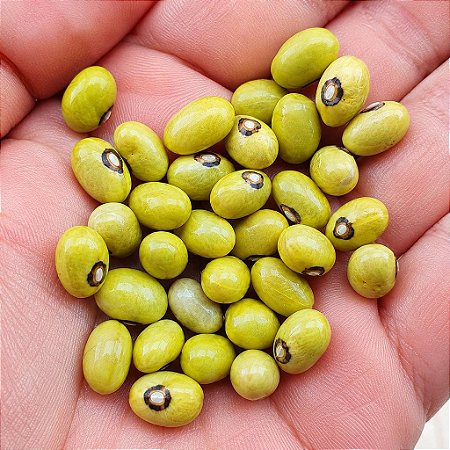 Sementes de Feijão Enxofre - 100 Sementes