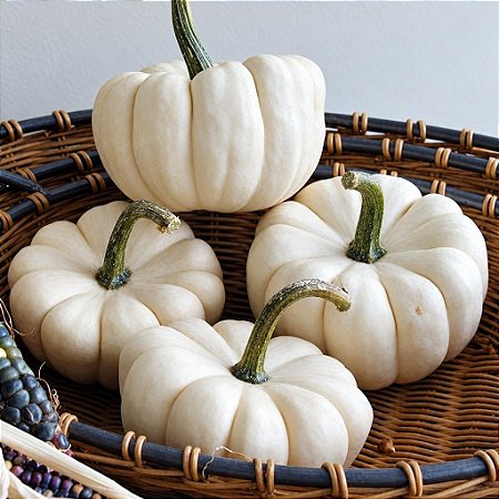 Abóbora Baby Boo Fantasminha - Cucurbita Pepo L.: 5 Sementes