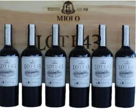 Miolo Lote 43 2022