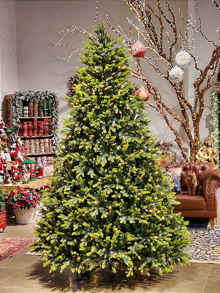 Instagram Senhor Natal