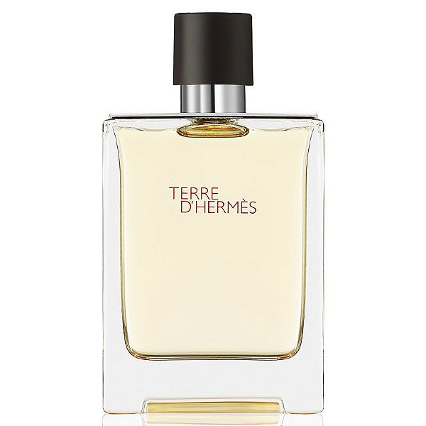 Terre D´Hermès Eau de Toilette Masculino - Hermès - AnMY Perfumes