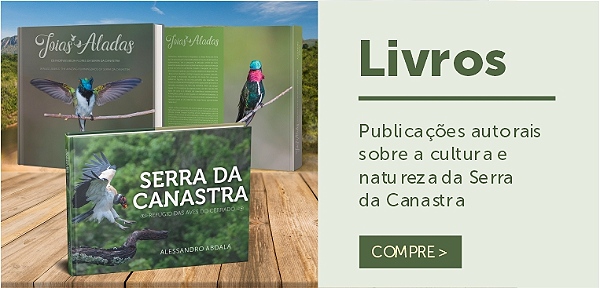 Mini banner livros