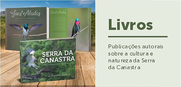 Mini banner livros