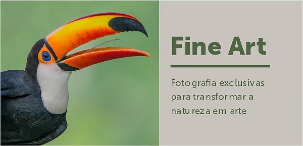 Mini banner fine art