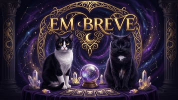 gatos