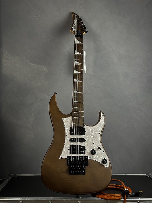 Guitarra Waldman Wig350f Trans Brown Sunburst