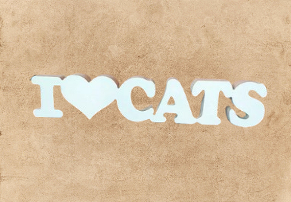 Eu Amo meu Gato