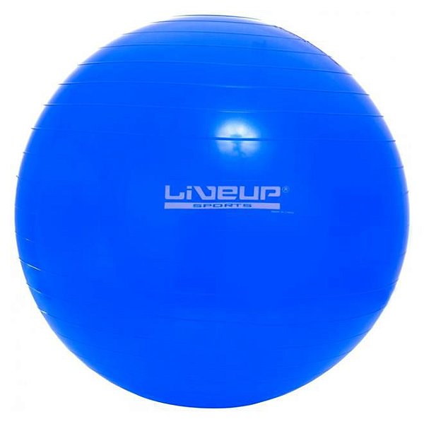 BOLA DE EXERCICIOS ROXA 65CM – Exercit Esportes