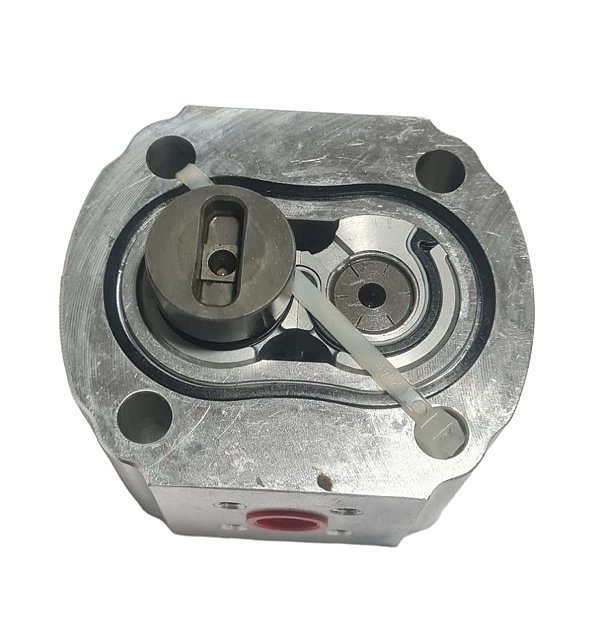 004649 - CORPO 56,5 BBA EIXO SEC XX