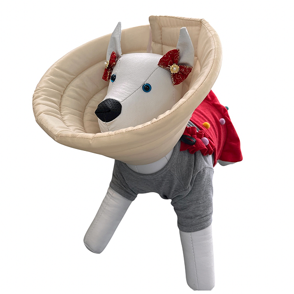 Cone pós-operatório