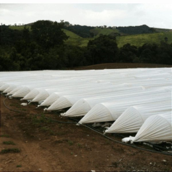 Plástico para Estufa tipo Túnel Leitoso Nortene 2,00X500 78KG Ref 100 - Garantia 8 Meses